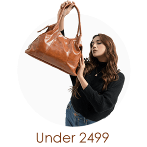 All Bags Under 2,499